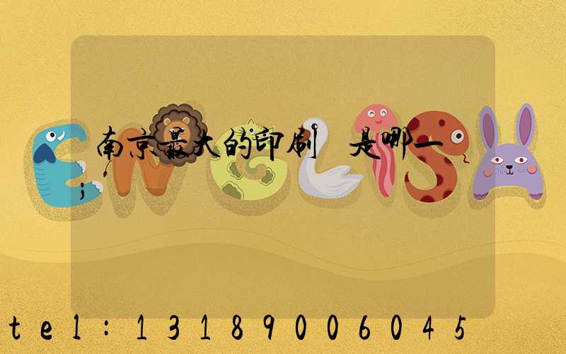 南京最大的印刷廠是哪一個