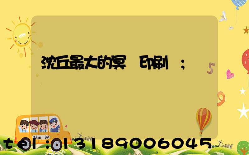 沈丘最大的冥幣印刷廠