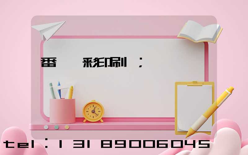 番禺藝彩印刷廠