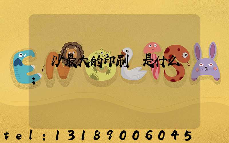 長沙最大的印刷廠是什么廠